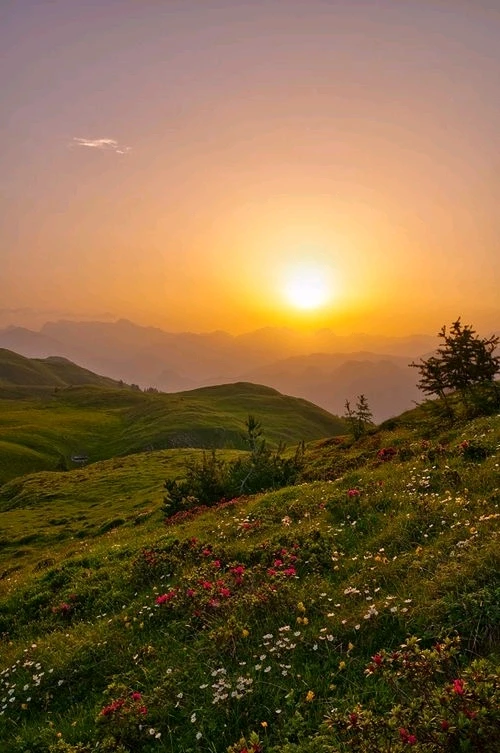 Image uploaded by Nikita