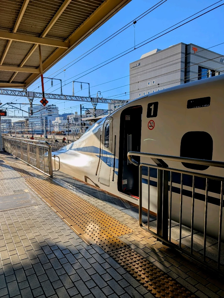 Image uploaded by Lorenzo