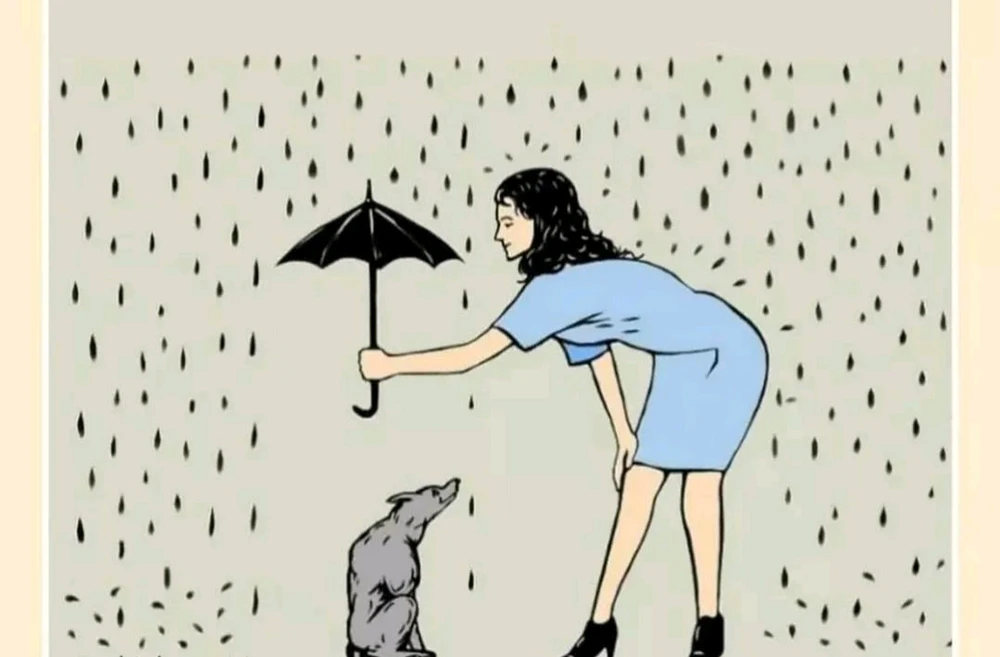 GIF uploaded by Kamlesh