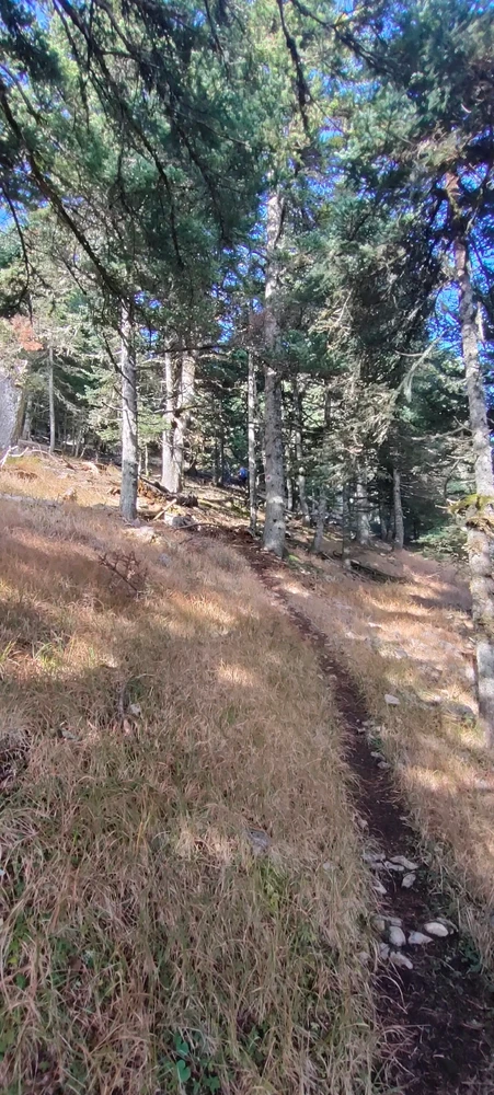 Εικόνα από Αντώνης