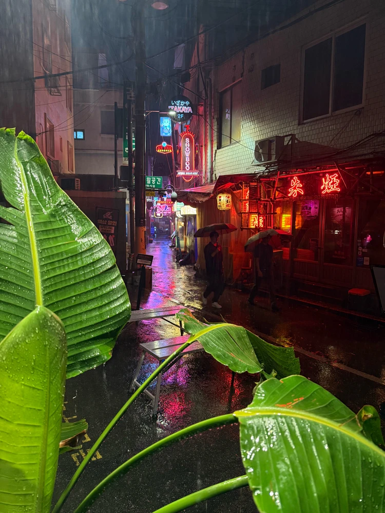 Gambar diunggah dening Thalita