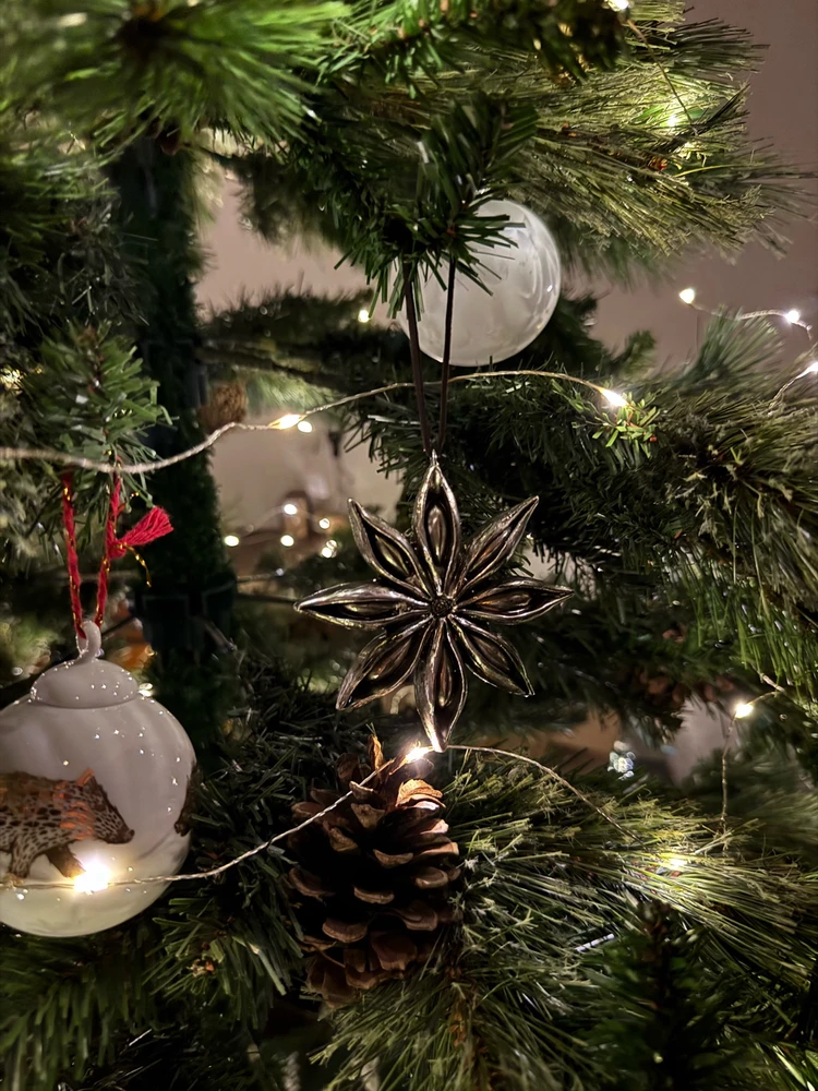 Obrázek nahrál Irónia