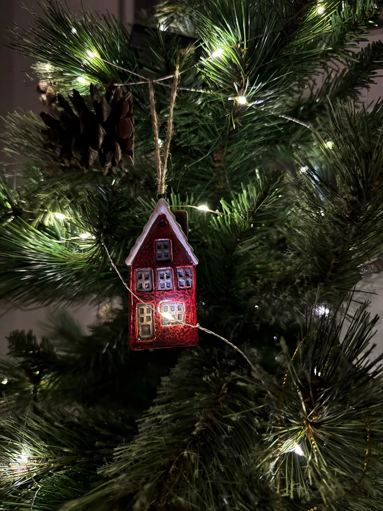 Obrázek nahrál Irónia