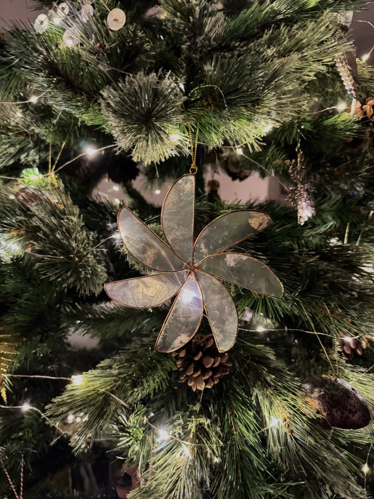 Obrázek nahrál Irónia