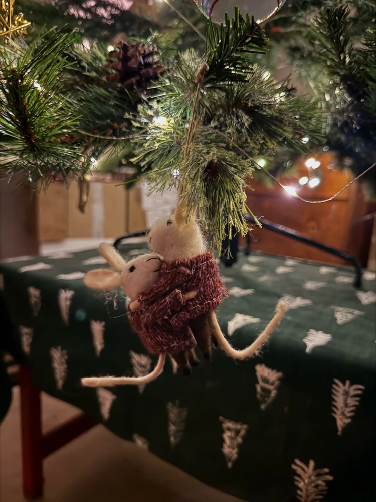 Obrázek nahrál Irónia