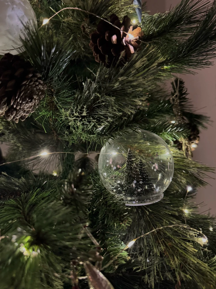 Obrázek nahrál Irónia