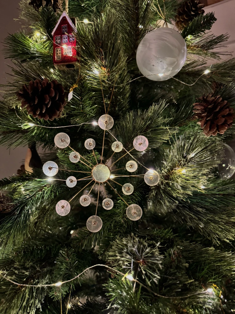 Obrázek nahrál Irónia