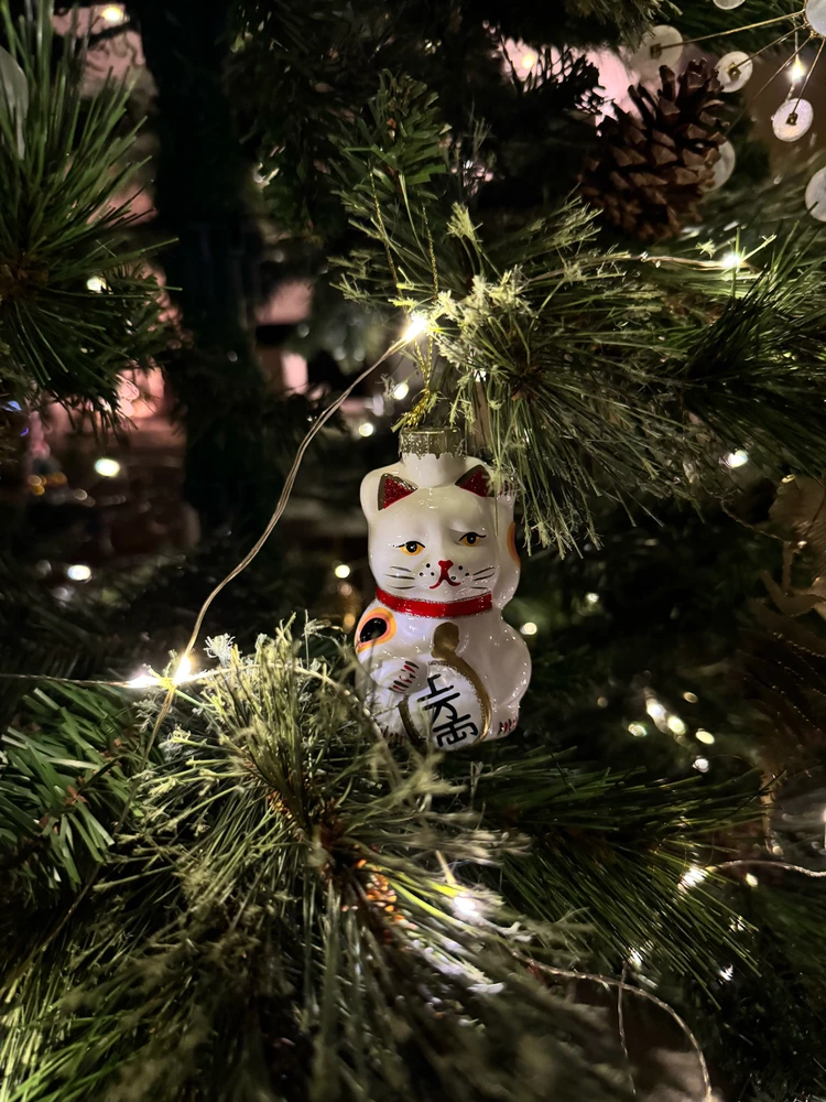 Obrázek nahrál Irónia