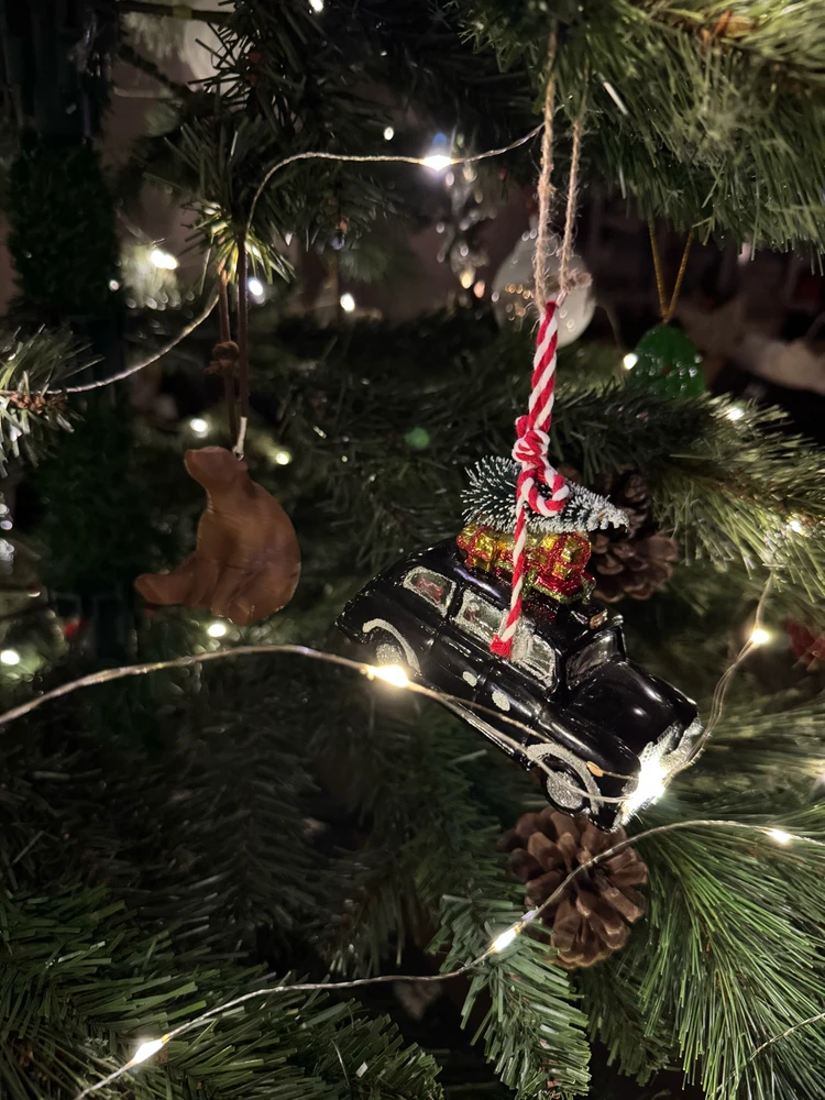 Obrázek nahrál Irónia