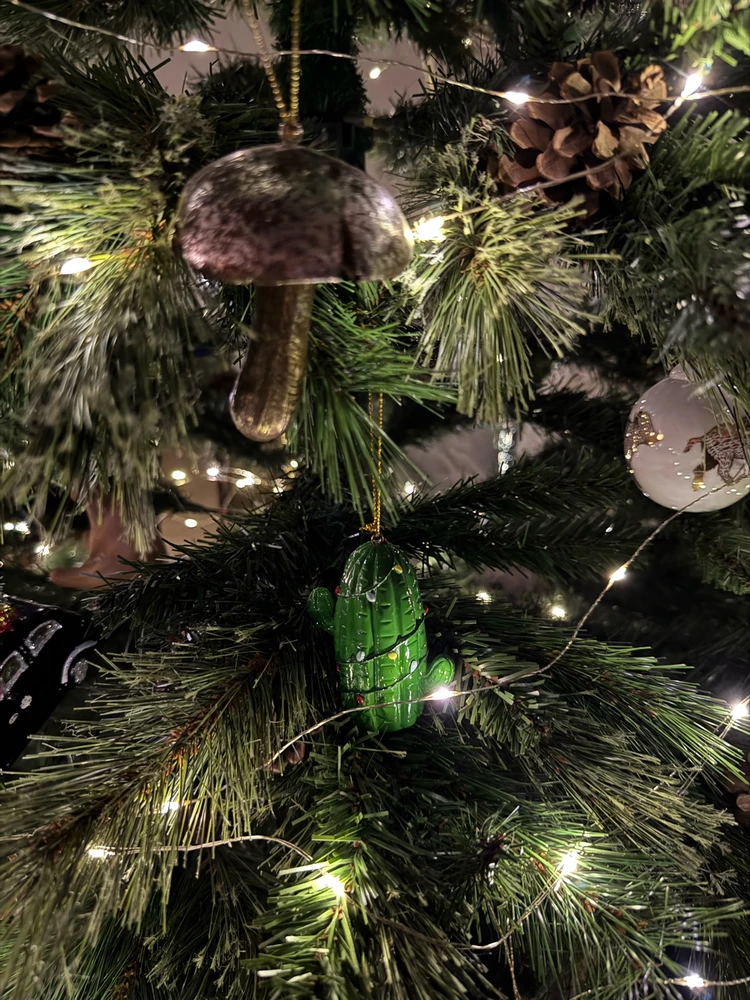 Obrázek nahrál Irónia