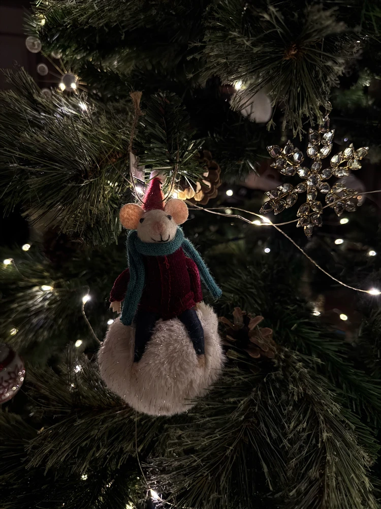 Obrázek nahrál Irónia