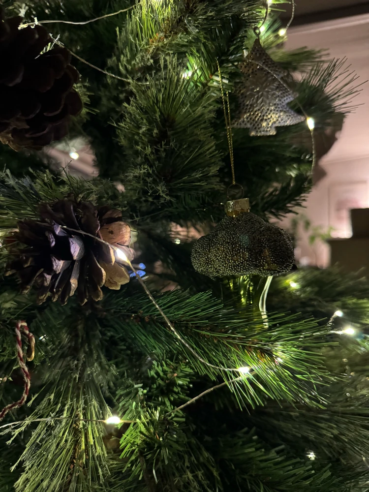 Obrázek nahrál Irónia