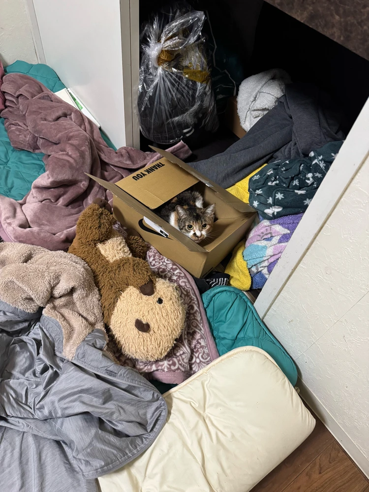 GIF uploaded by Luana