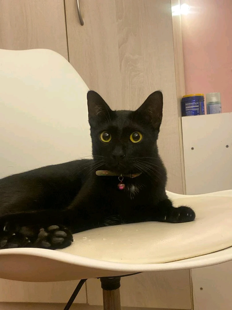 GIF uploaded by Keira