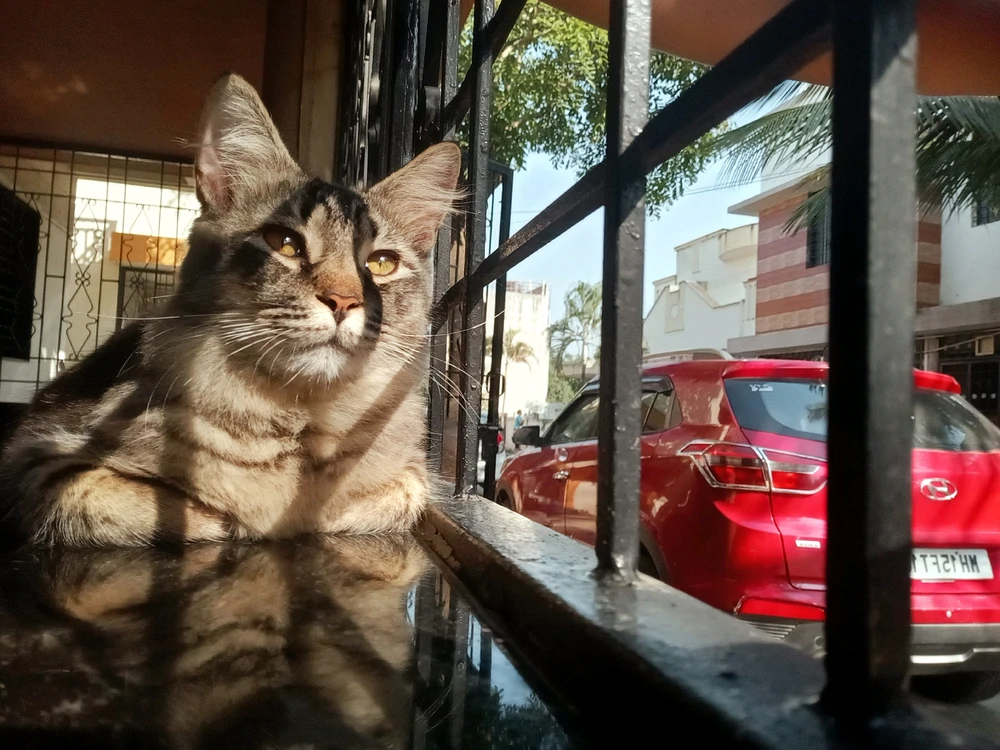 GIF uploaded by Ansh