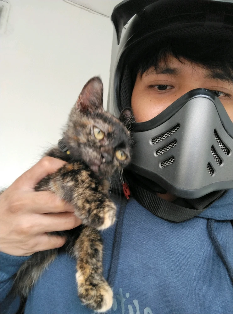 GIF uploaded by Greeyy