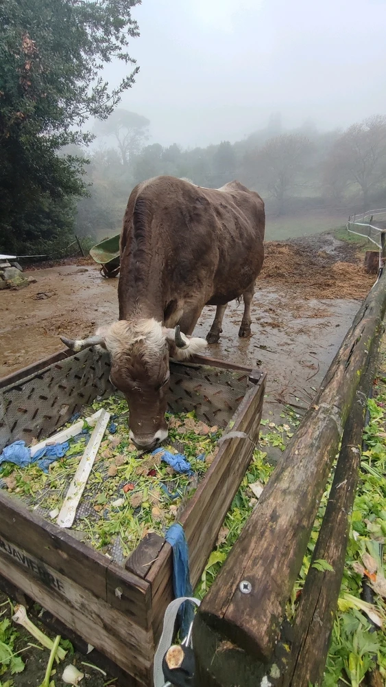 GIF caricata da David