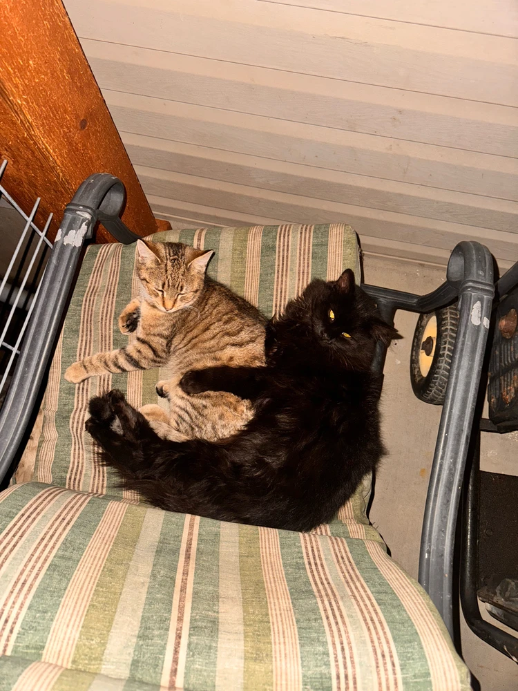 GIF uploaded by Scott