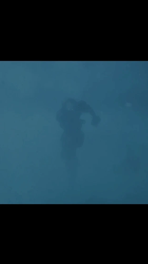 GIF uploaded by Ryan