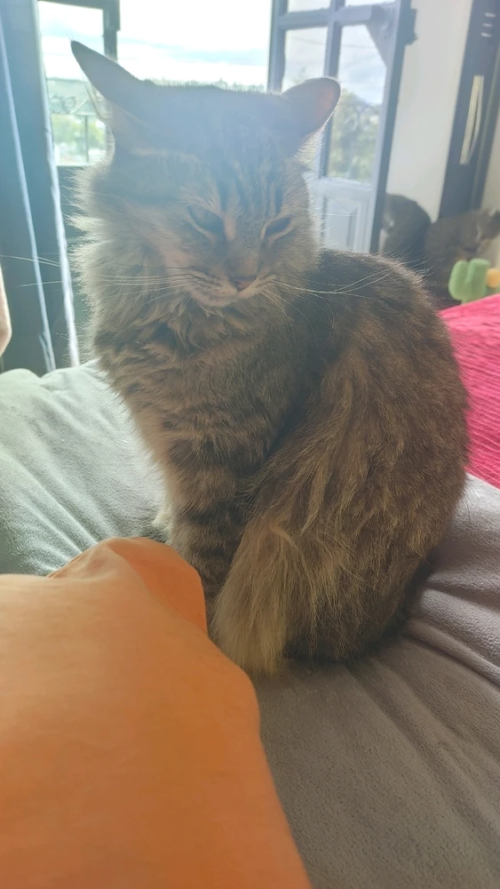 Image uploaded by ❤ Sophia aka Mango Mami ❤️