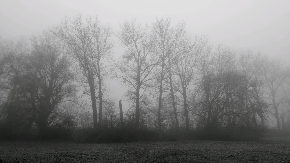 GIF nahrál ᒪᑌᑎᗩ