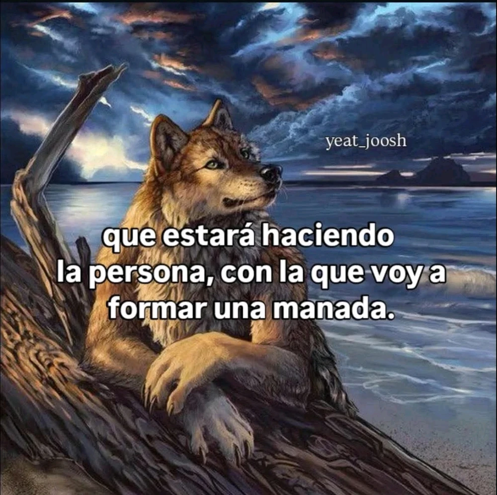 GIF subido por Danny Sonne