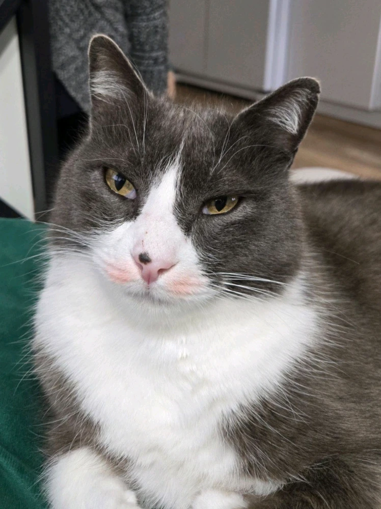 GIF uploaded by Marissa