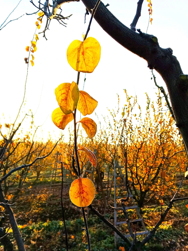 GIF uploaded by Talha