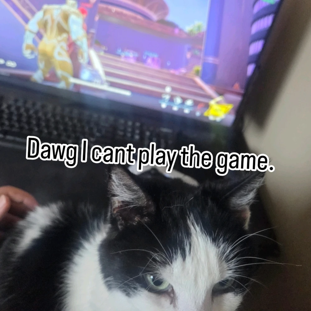 GIF uploaded by Cole