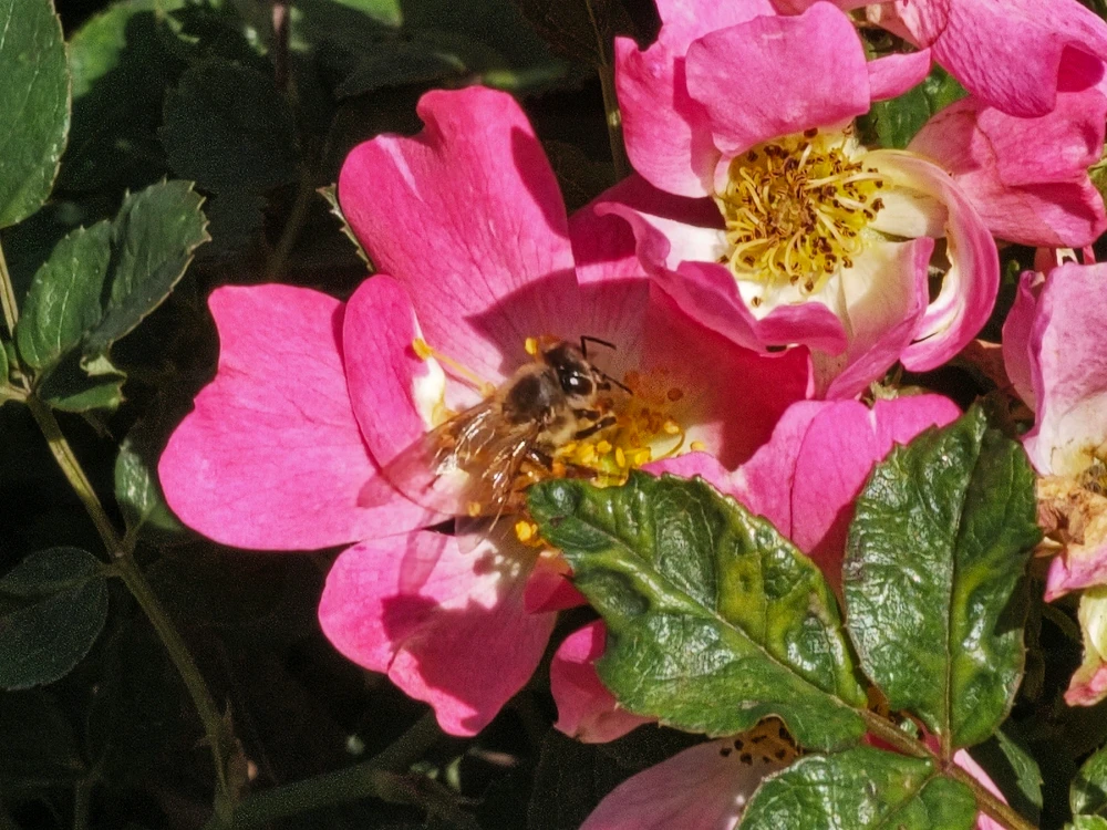 Image uploaded by Charles Day