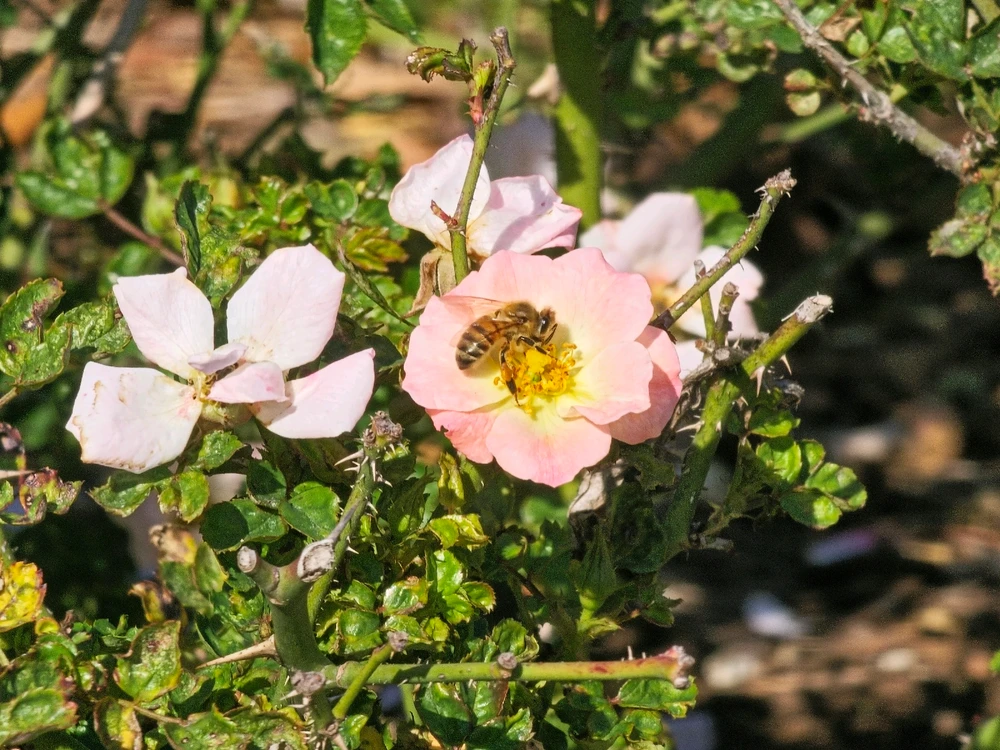 Image uploaded by Charles Day