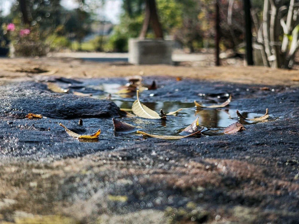 Image uploaded by Charles Day