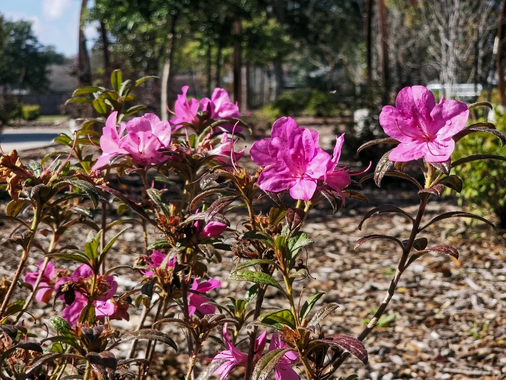 Image uploaded by Charles Day