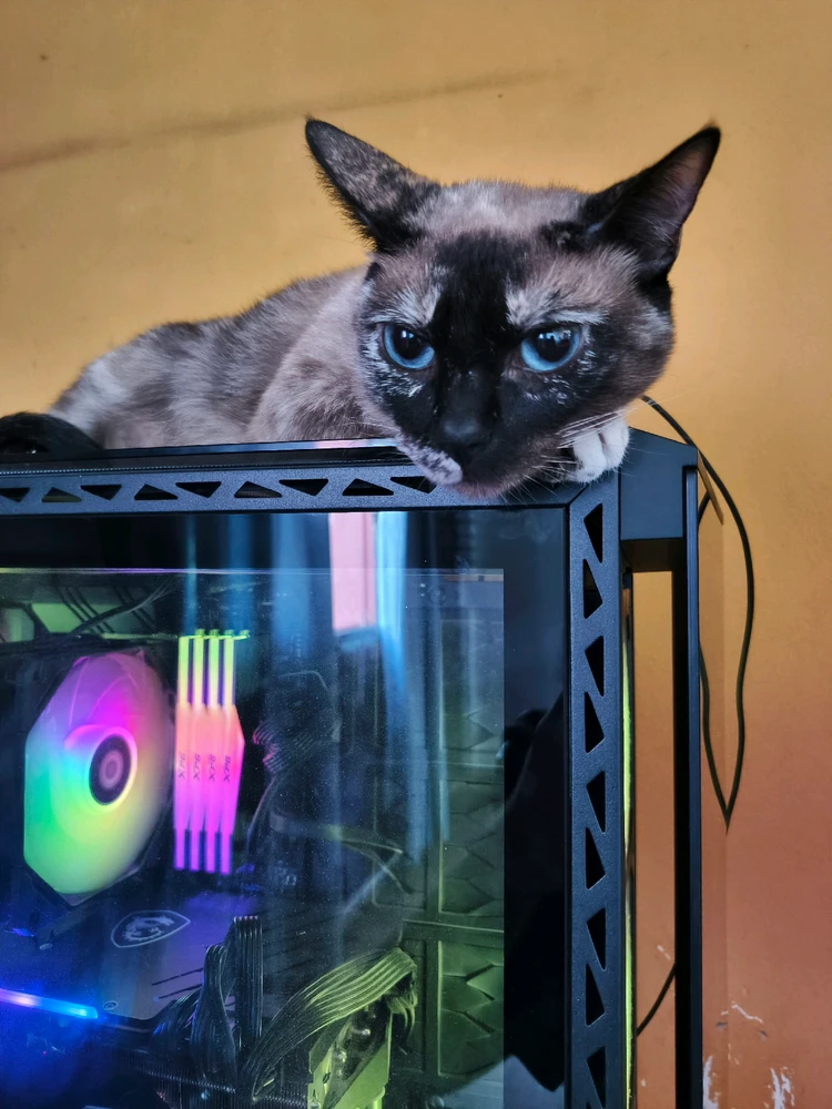 GIF subido por Matias