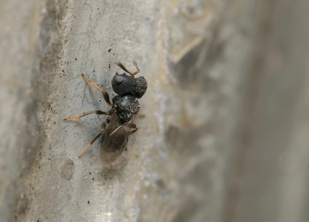 GIF uploaded by Logan