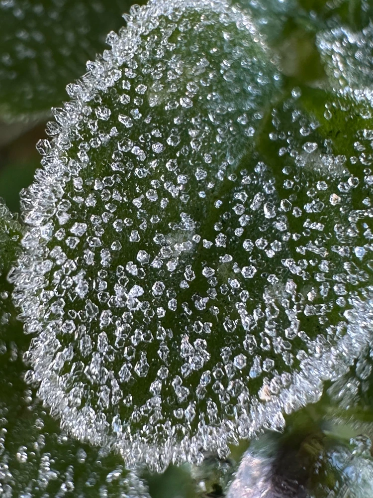 Image uploaded by Michele