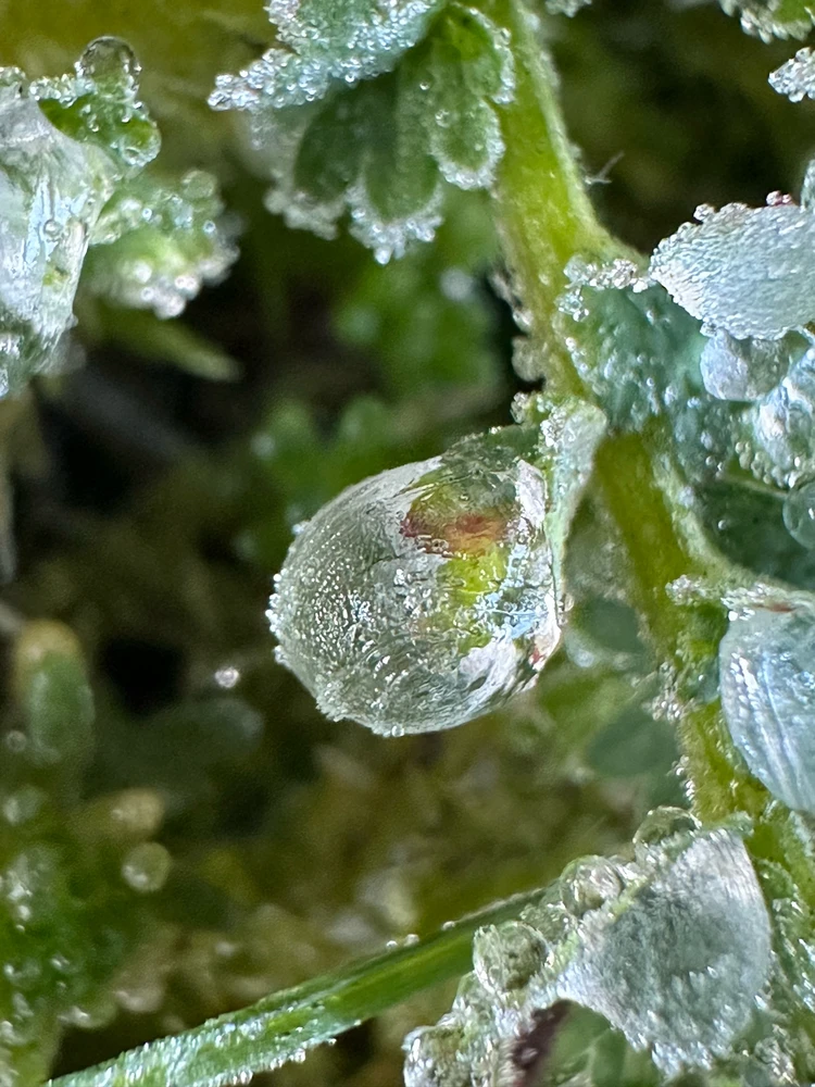 Image uploaded by Michele