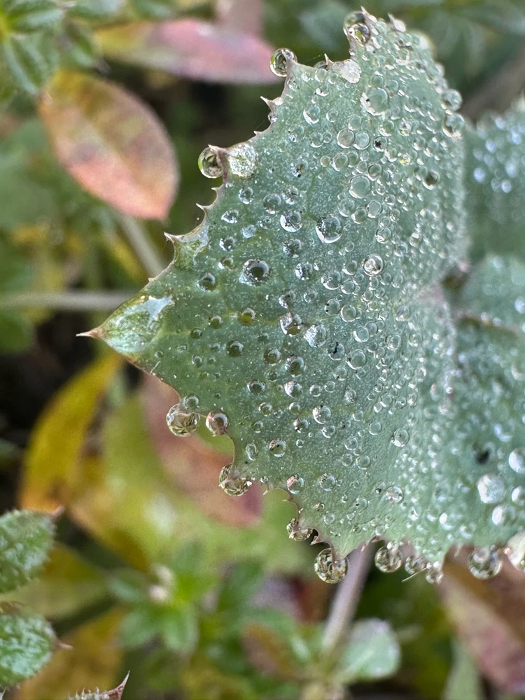 Image uploaded by Michele