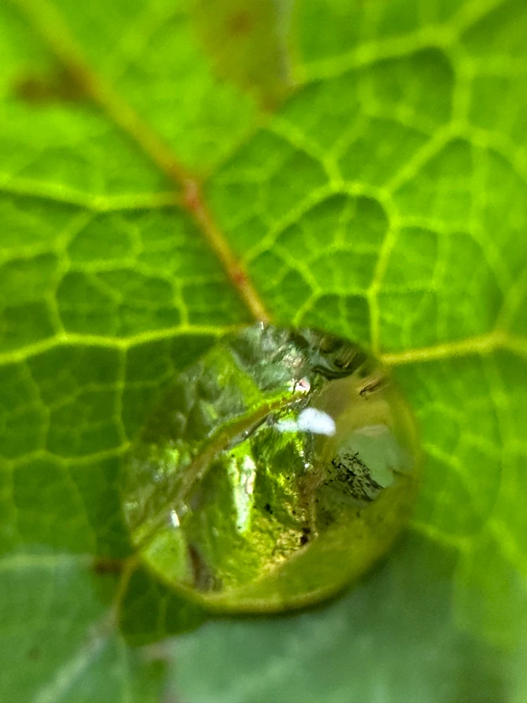 Image uploaded by Michele