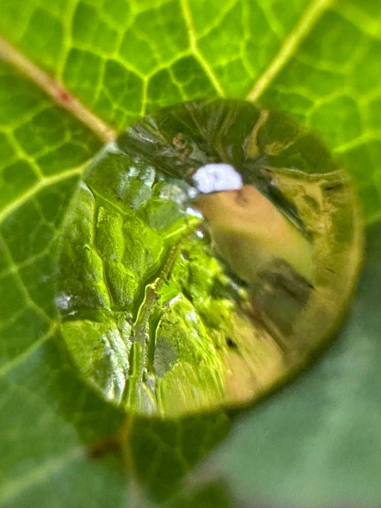 Image uploaded by Michele