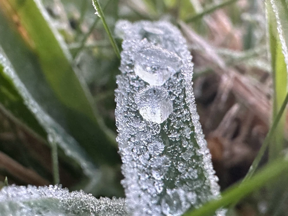 Image uploaded by Michele