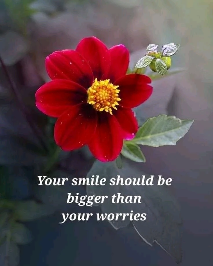 GIF uploaded by Charlene