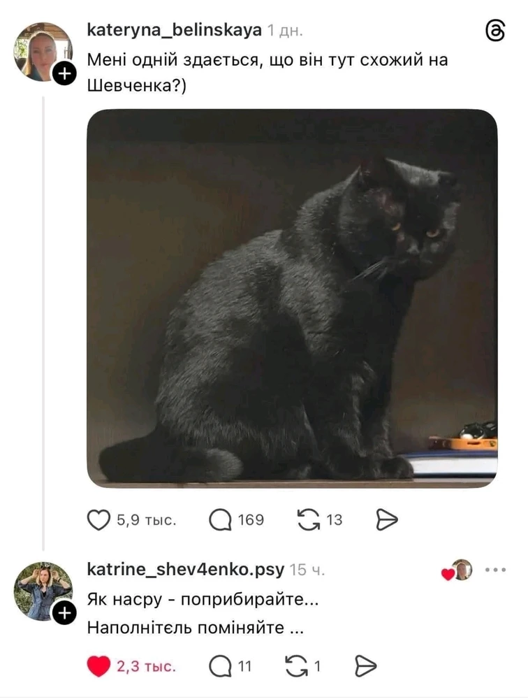 Гіфку завантажив Rudy