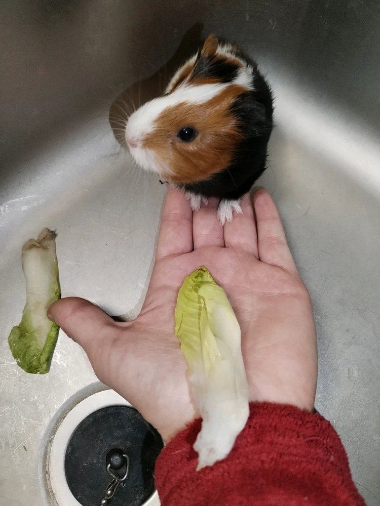 Image ajoutée par Aline