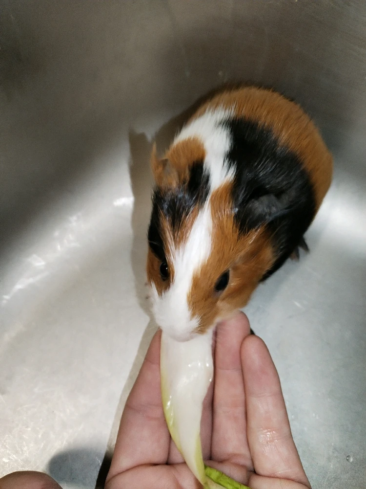 Image ajoutée par Aline