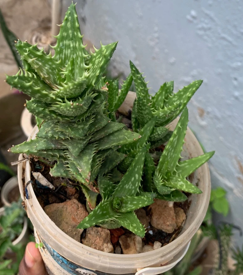 GIF uploaded by Marty