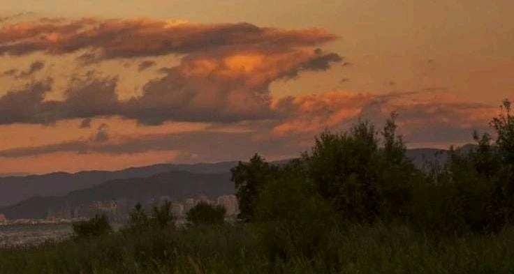 GIF diunggah oleh Lichul