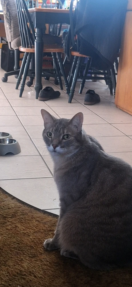 GIF uploaded by Collin