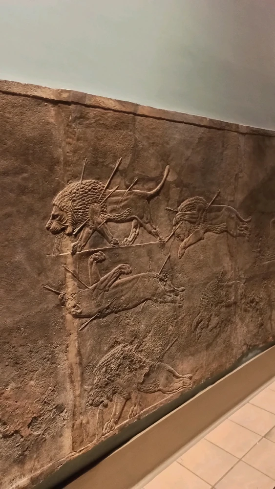 Image uploaded by Isidora