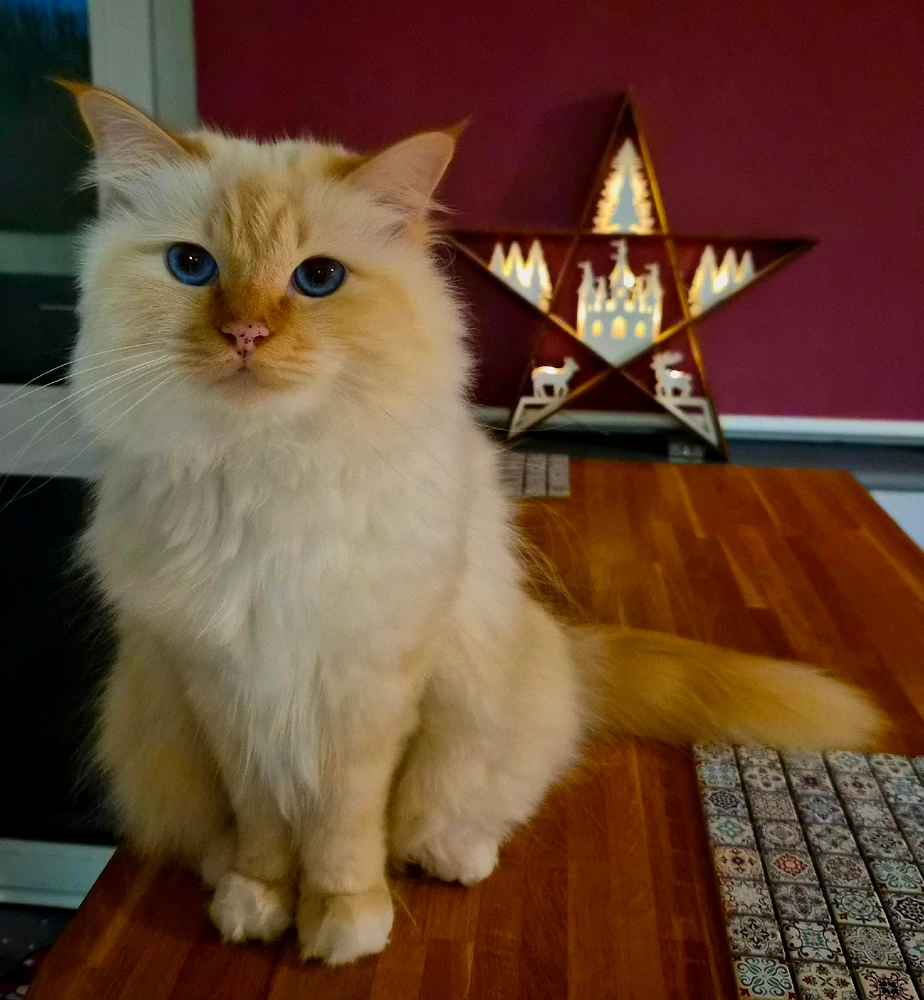 GIF uploaded by Adam